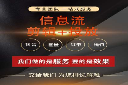 竞价推广中的着陆页策略：成功案例解读